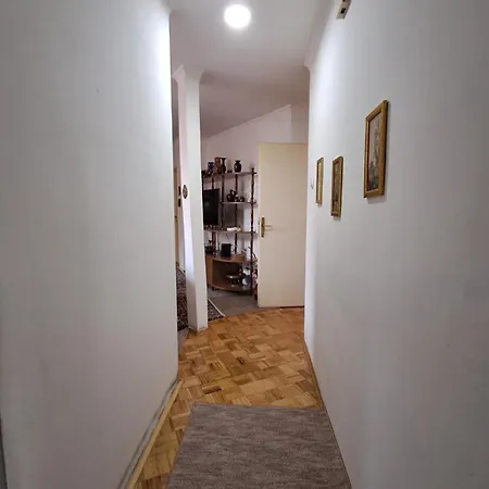 Kao Kod Kuce